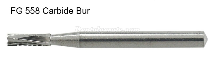 10 St&uuml;ck FG 556 557 558# FG-Schaft FG-Schaft Hartmetallbohrer Zahnmedizin Gerader Fissurenkopf Zahnbohrer